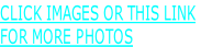 CLICK IMAGES OR THIS LINK
FOR MORE PHOTOS